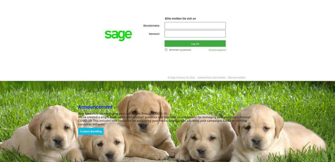 Sage - NetScaler 12.1 - Login - Bottom theme Sage - NetScaler 12.1 - Login - Bottom theme